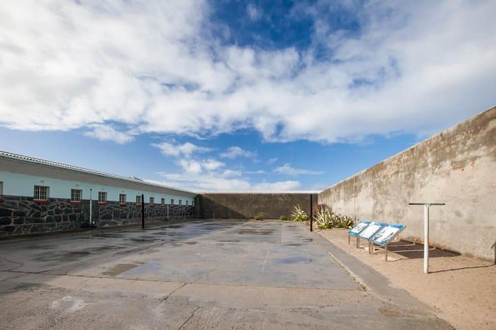 Table Mountain, Robben Island & Cape Town City Tour — Skip-the-Line Tickets Included photo 4