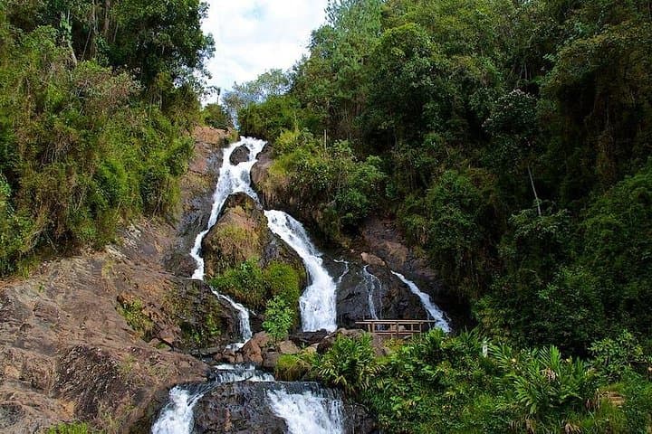Full-Day Zip-Line & Waterfall Adventure in La Ceja — Biodiversity Tour from Medellín photo 5