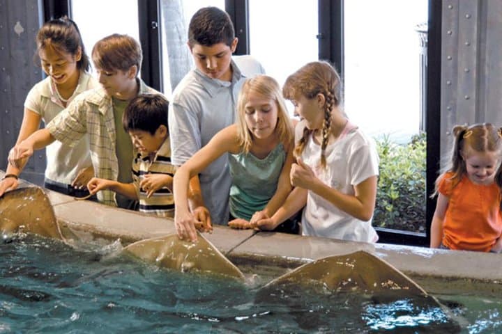 Houston City Tour & Downtown Aquarium All-Rides Pass — Guided Double-Decker Tour + Aquarium Access photo 4