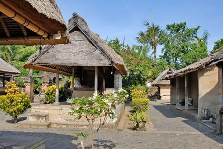 Ubud Artisan Village Day Tour: Private All-Inclusive Cultural Loop photo 4