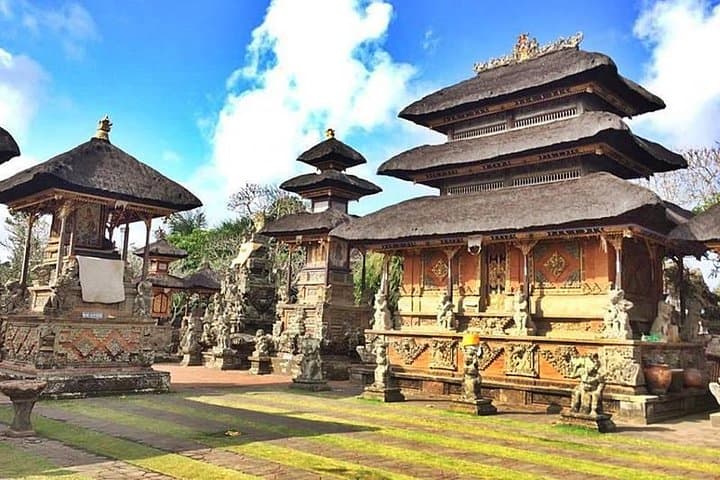 Full-Day Ubud Private Tour: Tegalalang Rice Terraces, Tegenungan Waterfall & Luwak Coffee photo 3