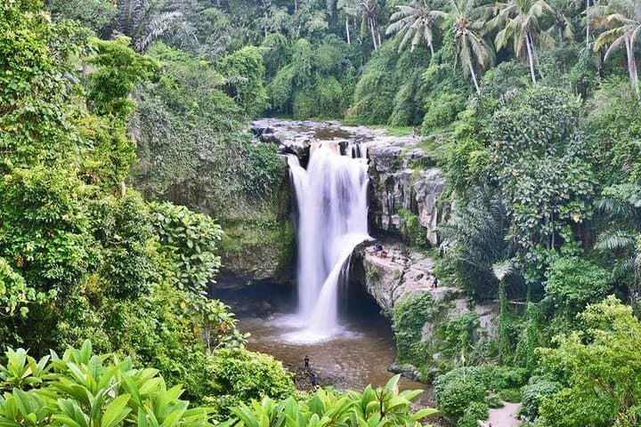 Ubud Artisan Tour: Full-Day Private Tour of Tohpati, Celuk, Mas & Tegallalang photo 5
