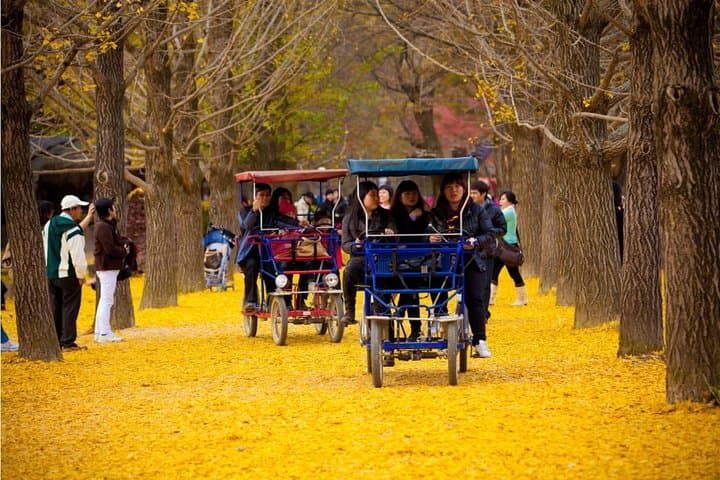 10-Day Autumn Tour: Jeonju, Naejangsan, Seorak, Jeju & Busan (Early November) photo 6
