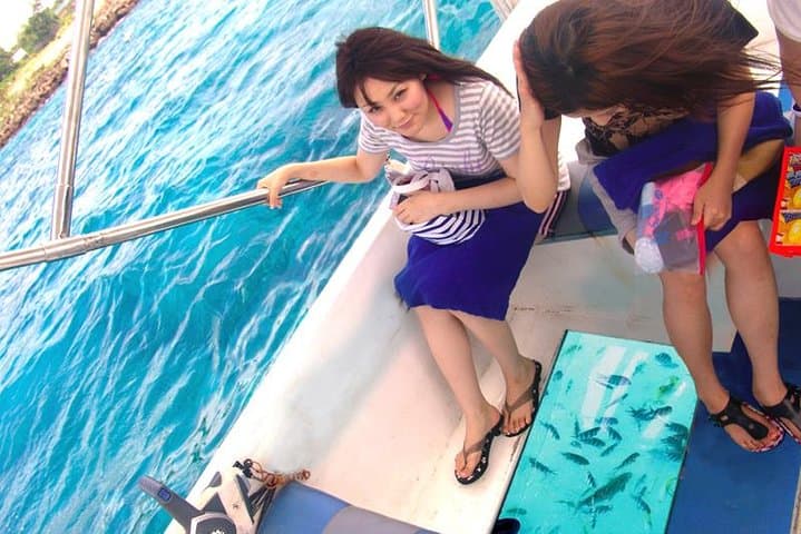 Glass-Bottom Boat Tour in Cebu: See Reefs Without Getting Wet