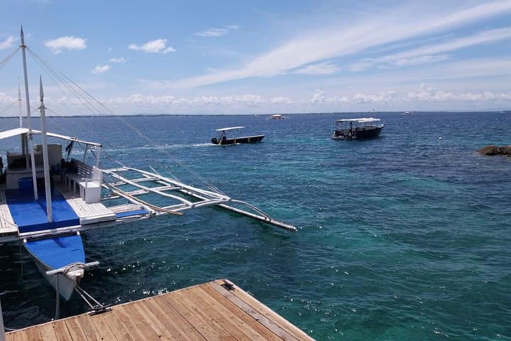 Glass-Bottom Boat Tour in Cebu: See Reefs Without Getting Wet photo 2