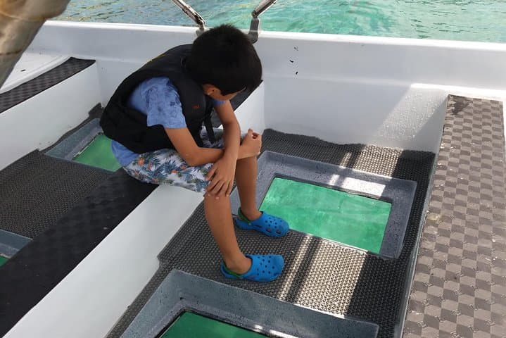 Glass-Bottom Boat Tour in Cebu: See Reefs Without Getting Wet photo 3