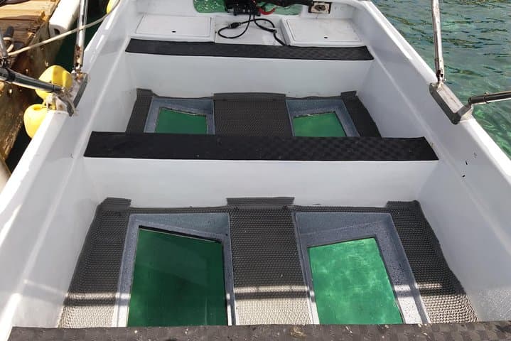 Glass-Bottom Boat Tour in Cebu: See Reefs Without Getting Wet photo 4