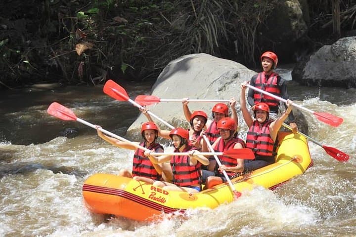 Half-Day Ayung River Whitewater Rafting From Ubud — Class II–III Rapids & Waterfall Swims photo 3