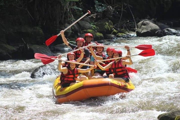 Half-Day Ayung River Whitewater Rafting From Ubud — Class II–III Rapids & Waterfall Swims photo 4