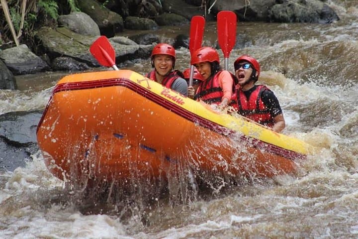 Half-Day Ayung River Whitewater Rafting From Ubud — Class II–III Rapids & Waterfall Swims photo 5