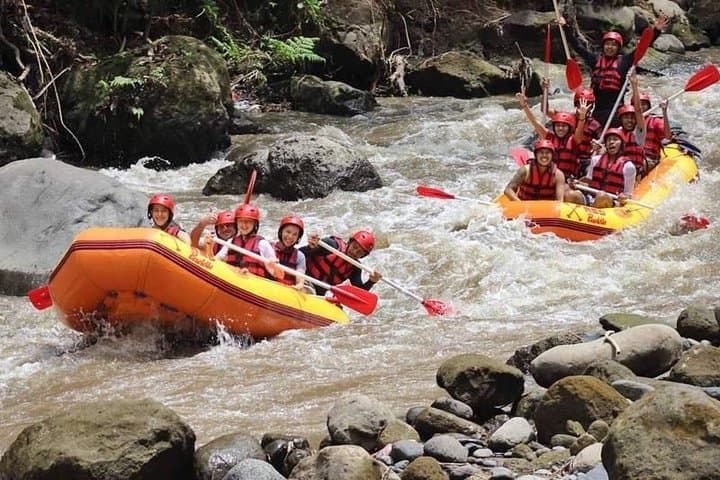 Half-Day Ayung River Whitewater Rafting From Ubud — Class II–III Rapids & Waterfall Swims photo 6