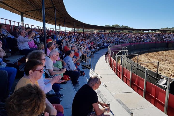 Andalusian Horse and Brave Bull Experience at Alvaro Domecq photo 2