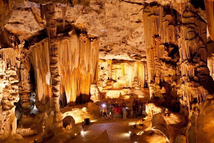 Garden Route Highlights: 4-Day Knysna, Tsitsikamma & Cango Caves Adventure photo 3