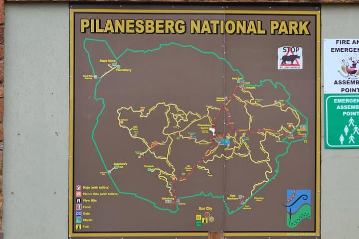 Full-Day Private Pilanesberg Safari from Johannesburg: Big Five & Birding photo 1