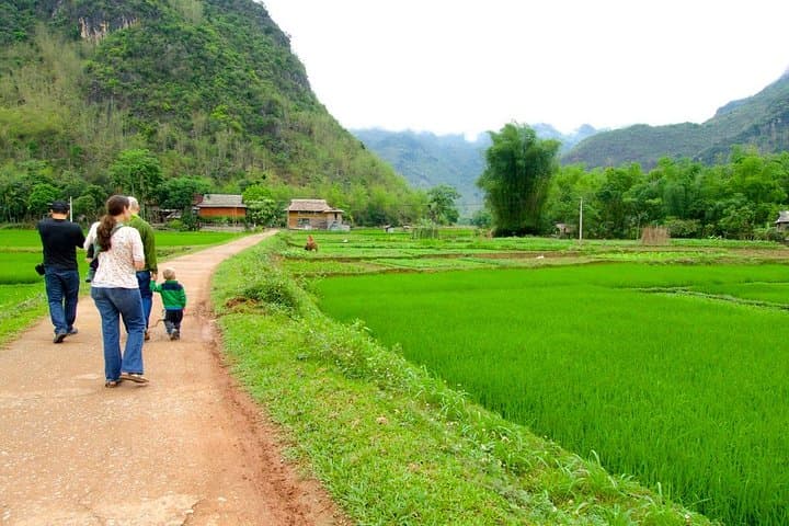 Mai Chau Nature Village Private Day Trip: A Day Among Rice Paddies & Thai Stilt Houses