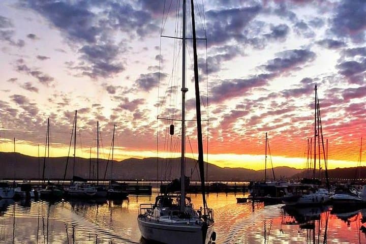 Garden Route Highlights: 4-Day Knysna, Tsitsikamma & Cango Caves Adventure photo 4