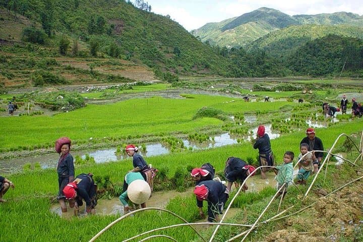 Sapa Real Experience: 2-Day Ethnic Homestay Trek from Hanoi photo 3