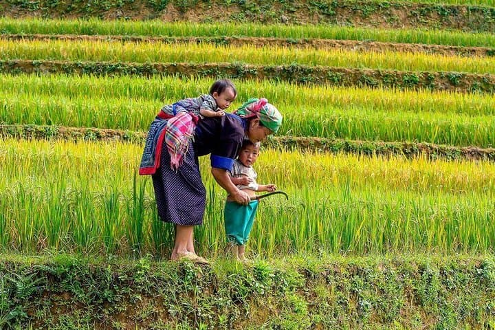 Sapa Real Experience: 2-Day Ethnic Homestay Trek from Hanoi photo 4