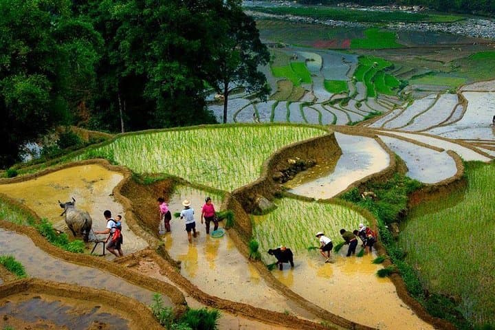 Sapa Real Experience: 2-Day Ethnic Homestay Trek from Hanoi photo 5