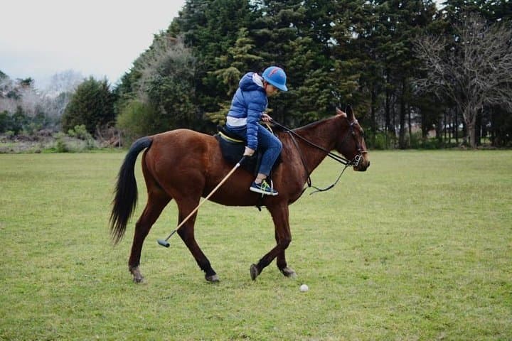 Polo Day in Pilar: Learn Polo at a Buenos Aires Estancia photo 2