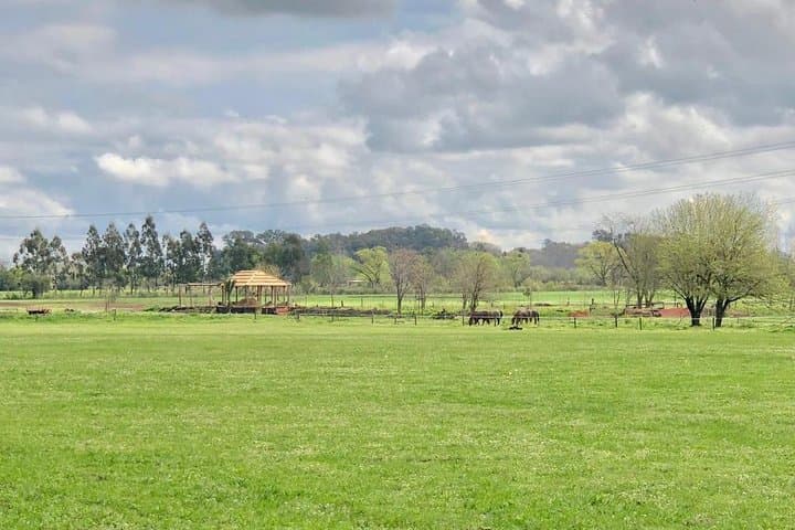 Polo Day in Pilar: Learn Polo at a Buenos Aires Estancia photo 4