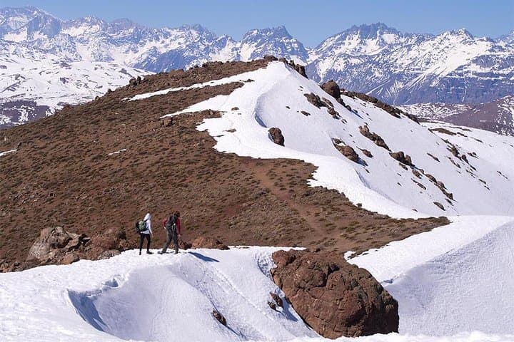 Provincia Mountain Wildlife Hike: Summit Views Above Santiago
