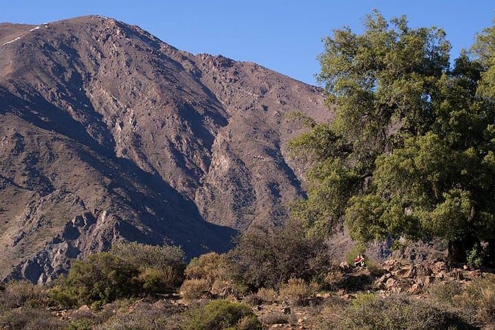 Provincia Mountain Wildlife Hike: Summit Views Above Santiago photo 4