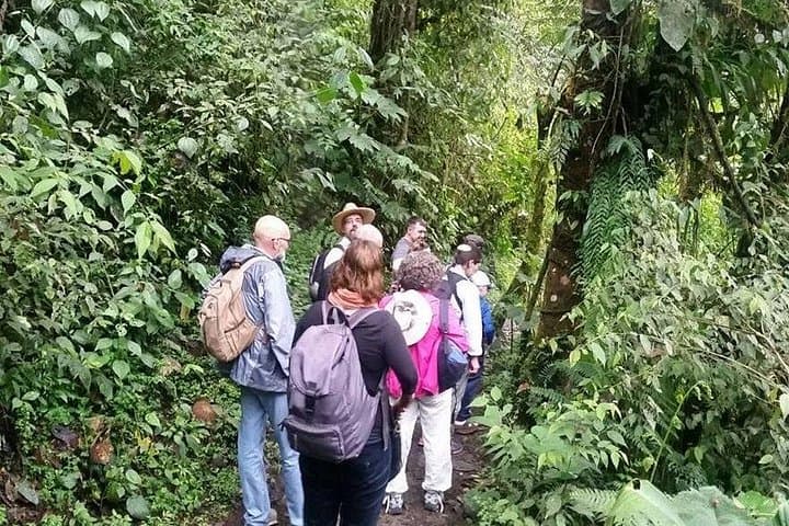 Full-Day Private Birding Tour: La Paz Refuge & Hummingbird Garden near Mindo