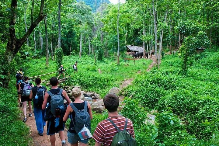 Cuc Phuong & Trang An: 2-Day Jungle Trek to Mua Cave and Primate Rescue