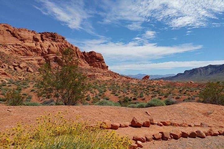 Valley of Fire State Park Day Hike from Las Vegas — Red Rock Trails & Petroglyphs photo 2