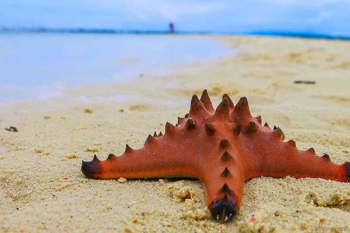 Camiguin Island — 3-Day Volcano, Hot Springs & White Island Escape photo 3