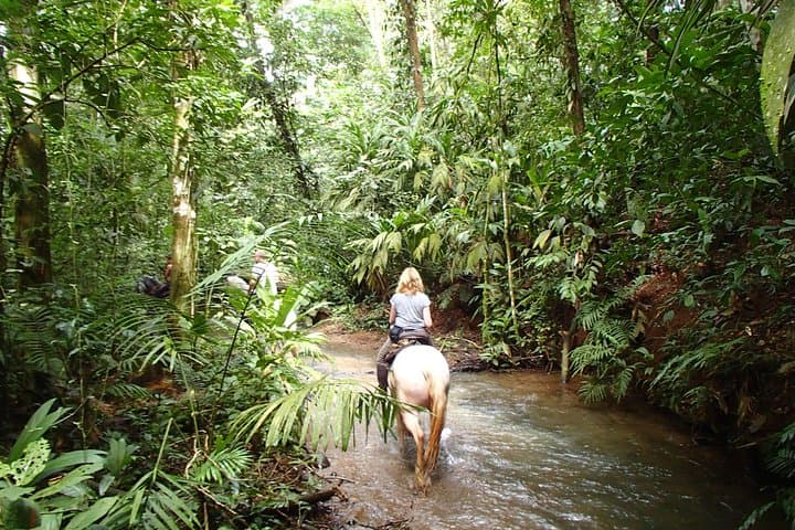 Private Horseback Riding in La Fortuna: Ranch-to-Rainforest Tours photo 2