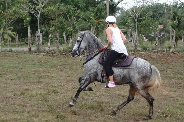Private Horseback Riding in La Fortuna: Ranch-to-Rainforest Tours photo 3