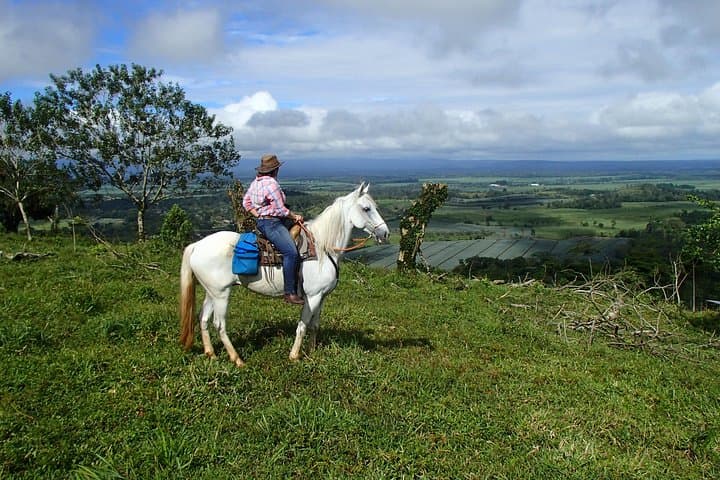 Private Horseback Riding in La Fortuna: Ranch-to-Rainforest Tours photo 4