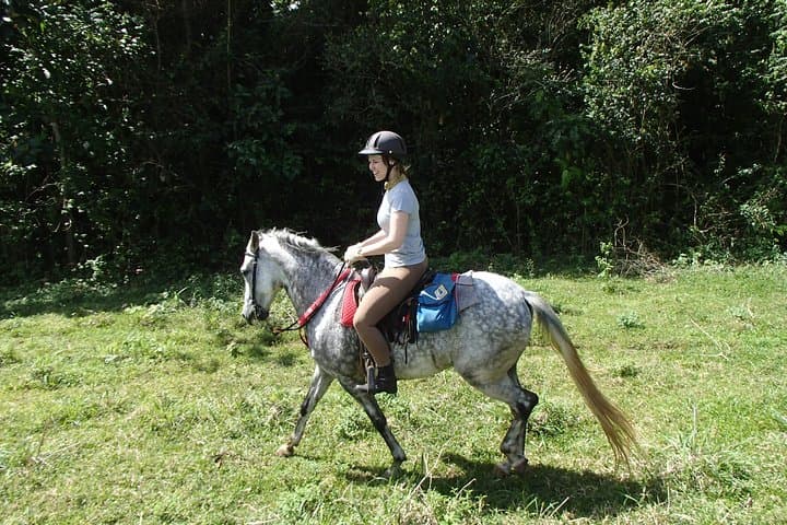 Private Horseback Riding in La Fortuna: Ranch-to-Rainforest Tours photo 5