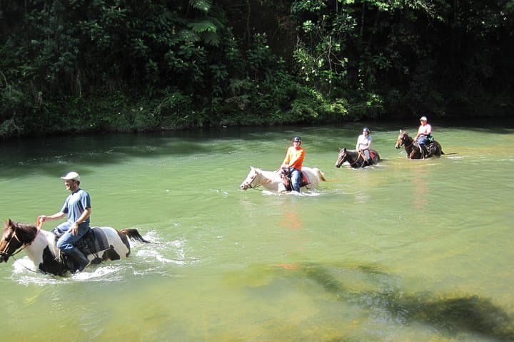 Private Horseback Riding in La Fortuna: Ranch-to-Rainforest Tours photo 6