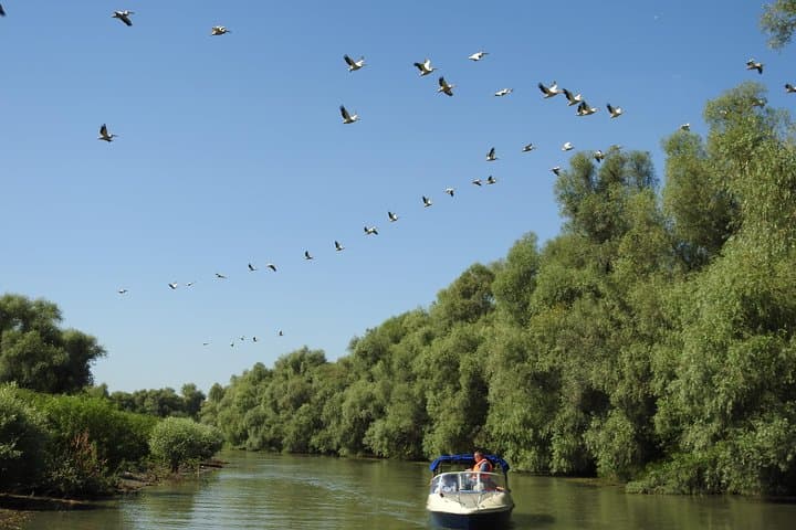 Full-Day Private Speedboat to Mila 23 & Sulina — Danube Delta Micro-Delta Experience photo 2