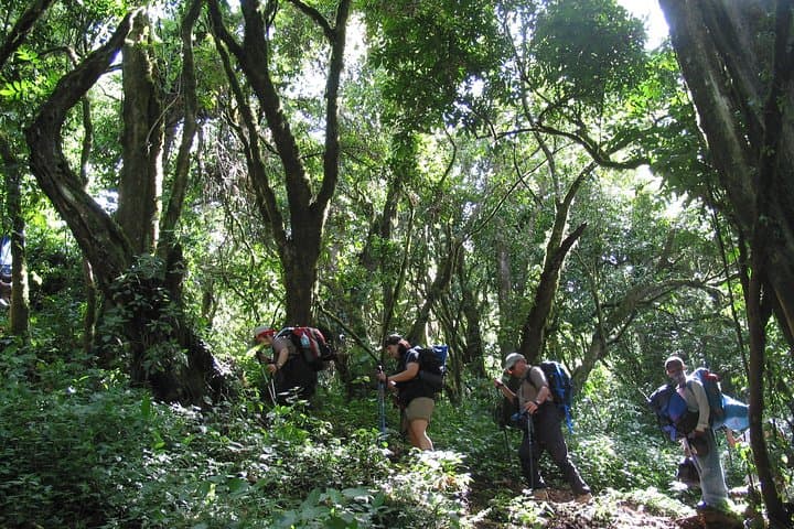 Private Kilimanjaro Climb: Custom Itineraries on Any Route (8–15+ Days) photo 4