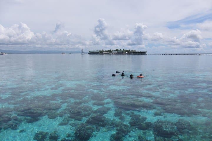 Twin-Island Snorkeling Adventure at Hilutungan & Nalusuan Marine Sanctuaries, Cebu photo 3