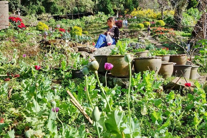 Wat Doi Suthep & Hmong Hill-Tribe Day Tour from Chiang Mai photo 4