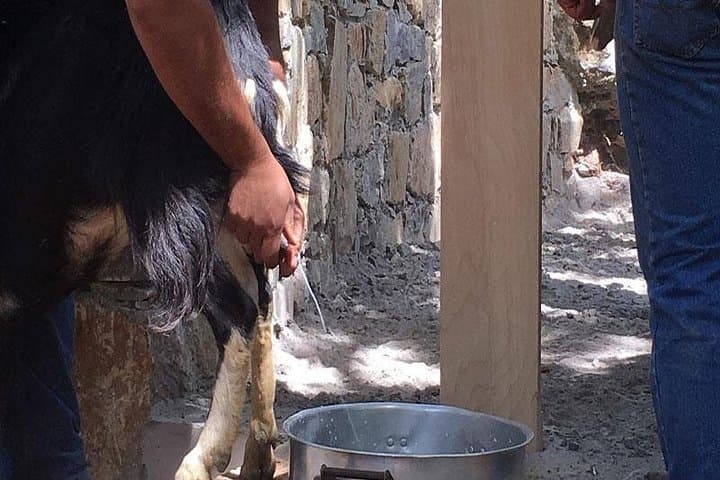 Land Rover Safari in Crete: Shepherd's Hut & Traditional Cheese-Making Day Tour photo 4