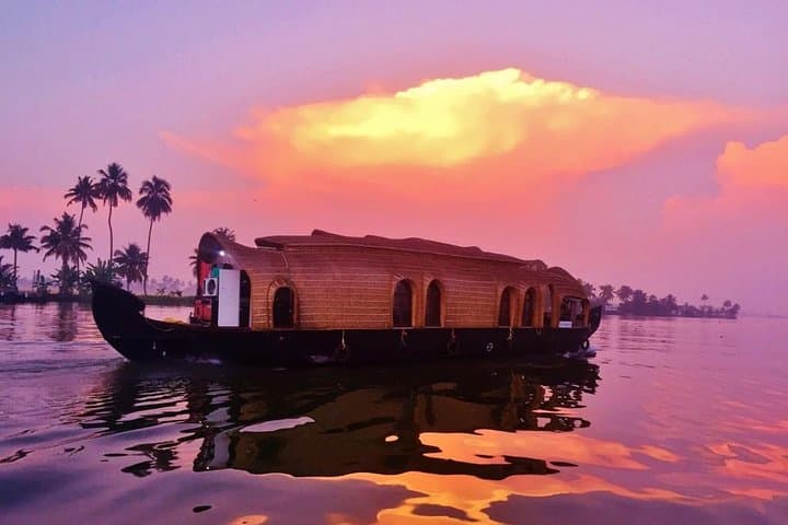 8-Day Kerala Tour: Backwaters, Tea Trails & Wildlife with Private Transfers photo 4