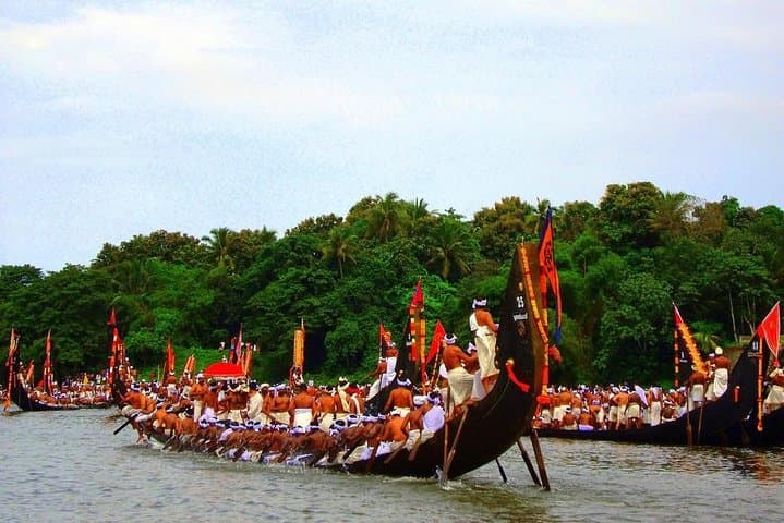 8-Day Kerala Tour: Backwaters, Tea Trails & Wildlife with Private Transfers photo 5