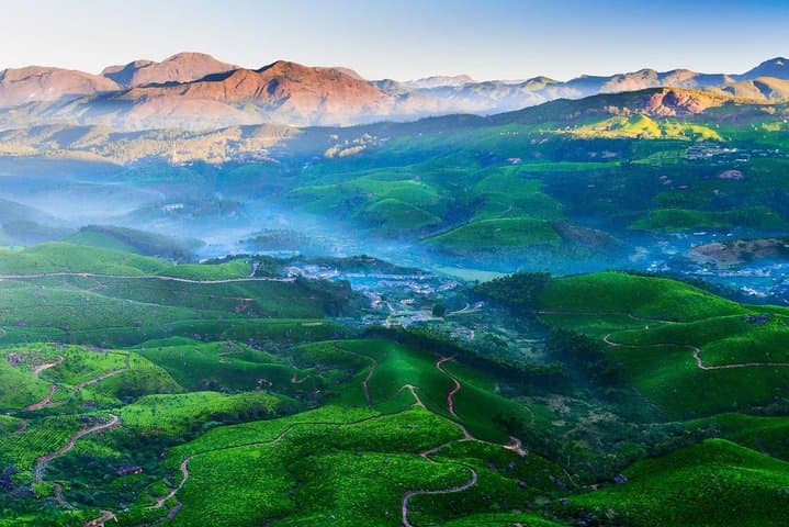8-Day Kerala Tour: Backwaters, Tea Trails & Wildlife with Private Transfers photo 6