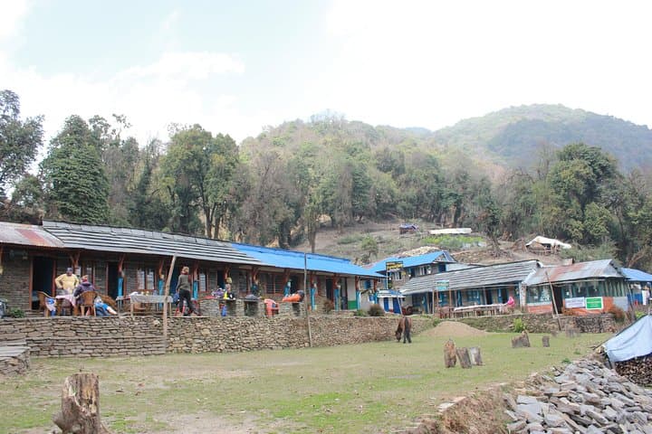 Mardi Himal Trek from Pokhara: 7-Day Annapurna Alternative with Teahouse Stays photo 4