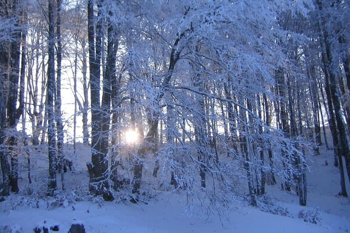 Berovo Full-Day Private Tour from Skopje — Lakes, Forest Trails & Local Flavors photo 6