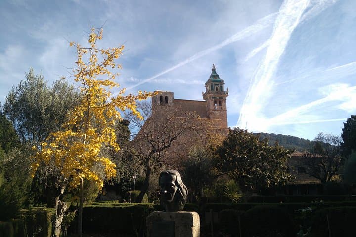 Palma & Serra de Tramuntana: Private 4‑Hour Family Tour from Cruise Port photo 3