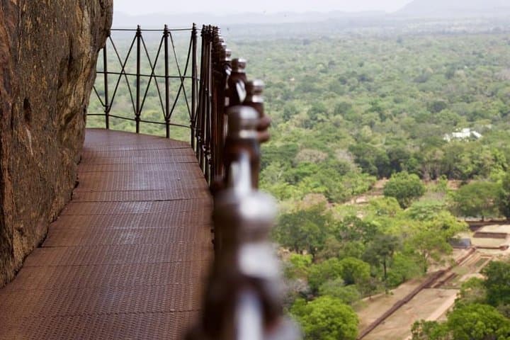 From Lion Rock to the Elephant Plain: Private Day Trip to Sigiriya, Dambulla & Minneriya photo 3