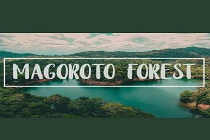 Magoroto Forest Estate Day Trip from Tanga: Rainforest Trails, Lake Swim & Spice Groves