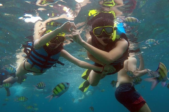 Phi Phi Islands Day Tour: Speedboat to Maya Bay, Pileh Lagoon & Bamboo Island photo 5